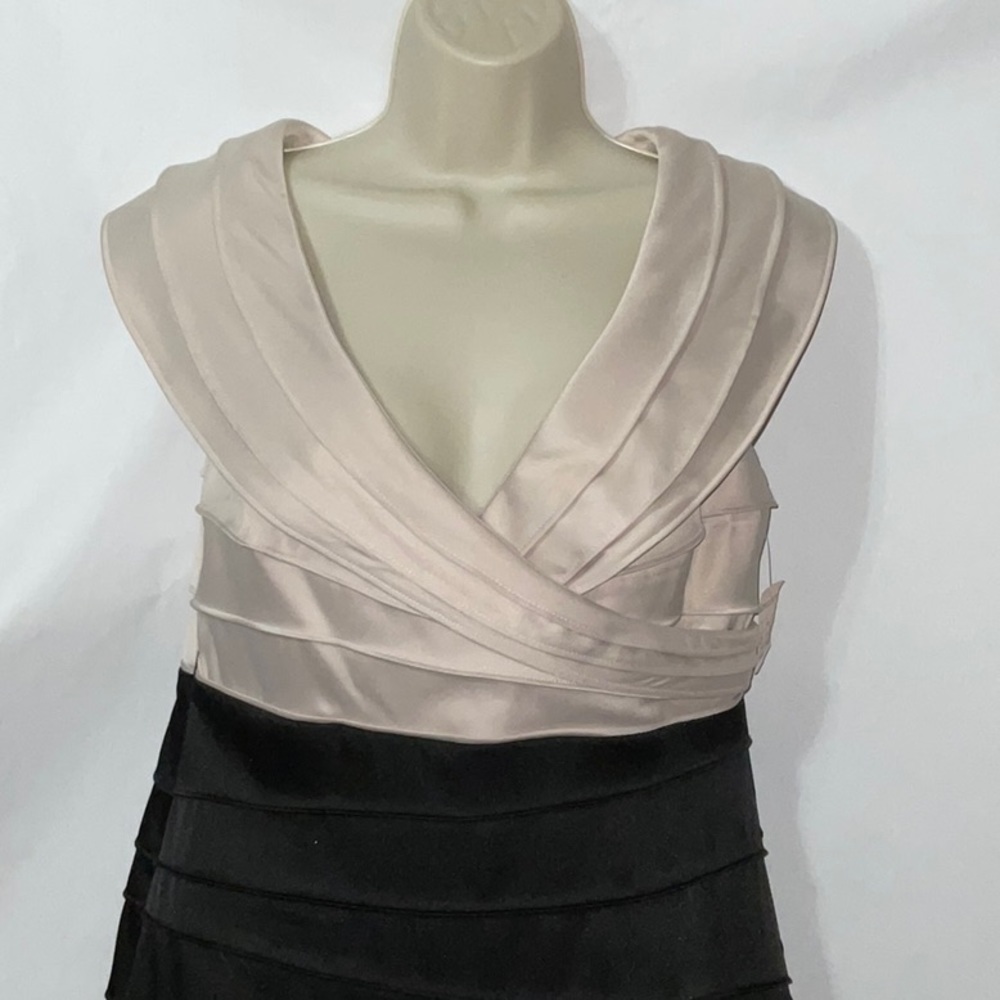 NWT, Jones Studio Dress, Size 8